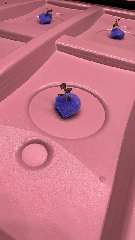 Картинка #6 для новости «сельское хозяйство: Платформа Меристема запущена в Челябинске»