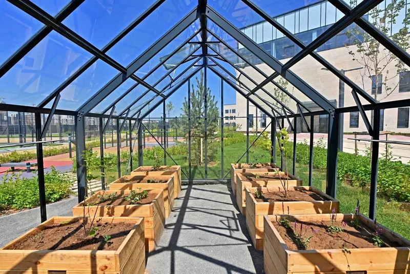 Иллюстрация №8 для публикации «В Москве открылось новое здание школы 338»