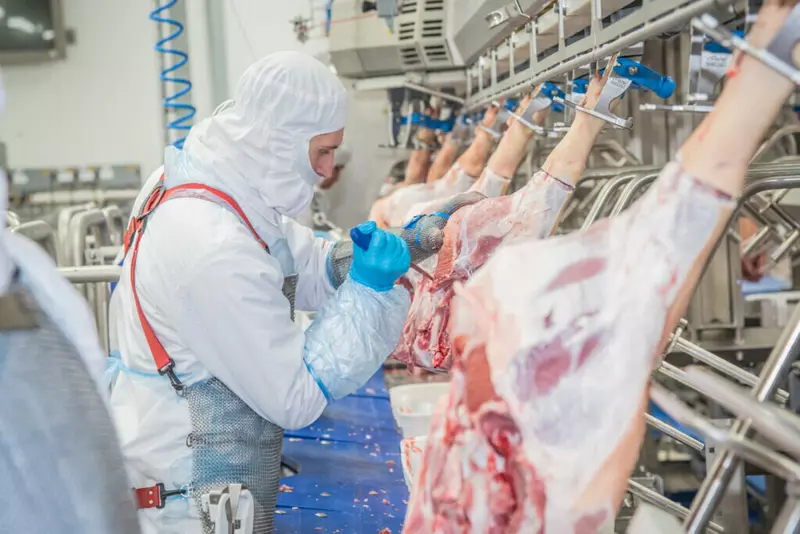 Картинка №3 для поста «мясопереработка: В Воронежской области запустили мясоперерабатывающее предприятие»