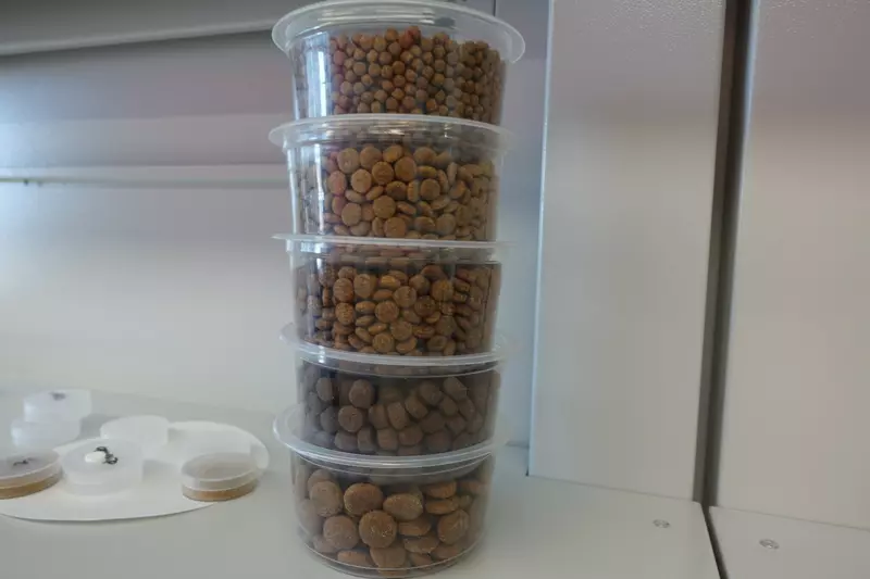 Иллюстрация №1 для поста «Технопарки: Резиденты ОЭЗ Липецк присоединились к национальному бренду Сделано в России»