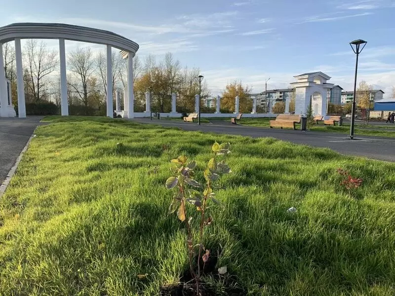 Иллюстрация #25 для публикации «Развитие Сибири часть 7»