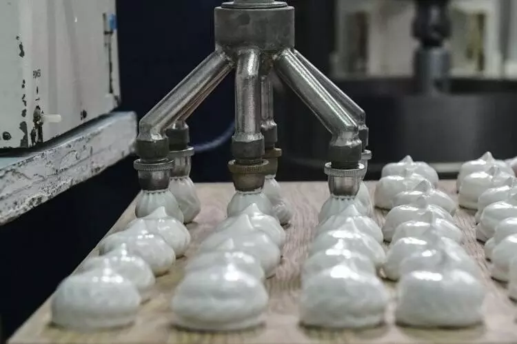 Фото №24 для «Тюменское импортозамещение часть 10»