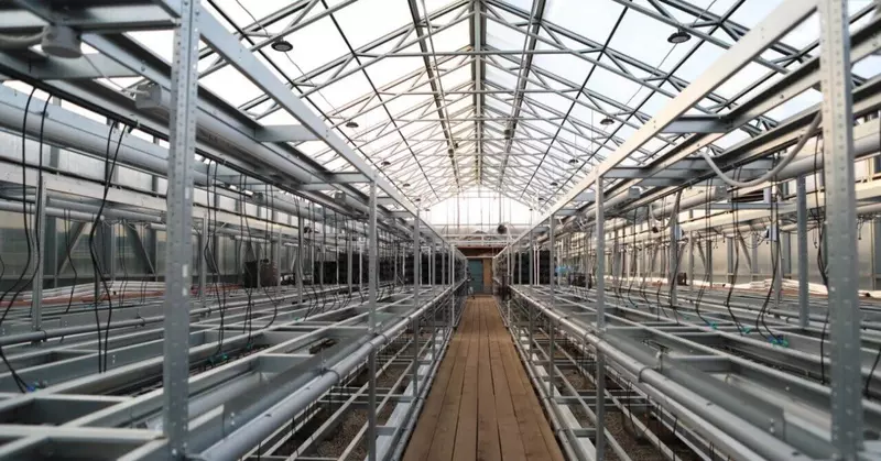 Девять современных теплиц построили в иркутском Горзеленхозе