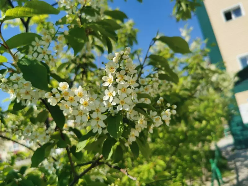 Изображение #23 для новости «Ямальский меридиан 14»