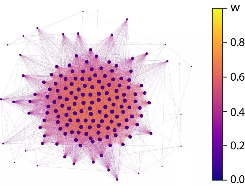 Графовое представление восстановленной функциональной сети головного мозга (отброшены слабые связи). Источник: Андрей Андреев/БФУ
