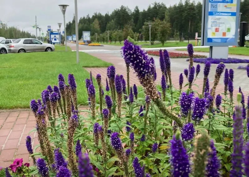 47 для статьи «Как меняется Ямал Ноябрьск часть 3»