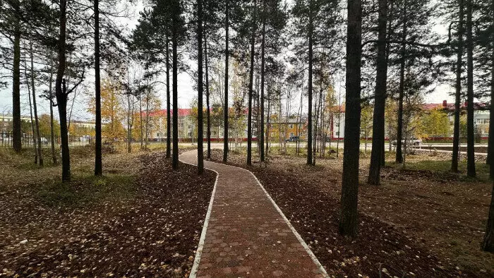 Фото 40 для публикации «Четыре новых парка благоустроено в Ноябрьске»