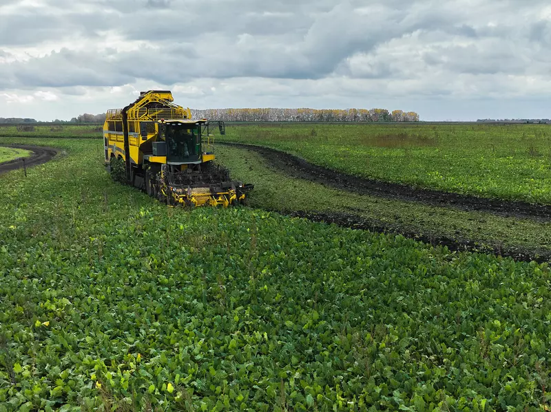 Картинка #14 для «Сахара хватит на всех или как его производят на предприятиях ГК Продимекс»