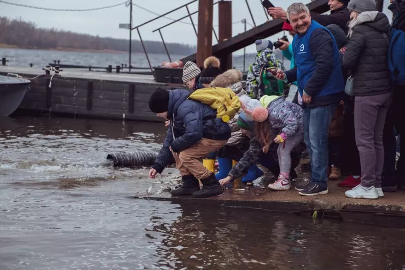 Проектировщики помогли Волге