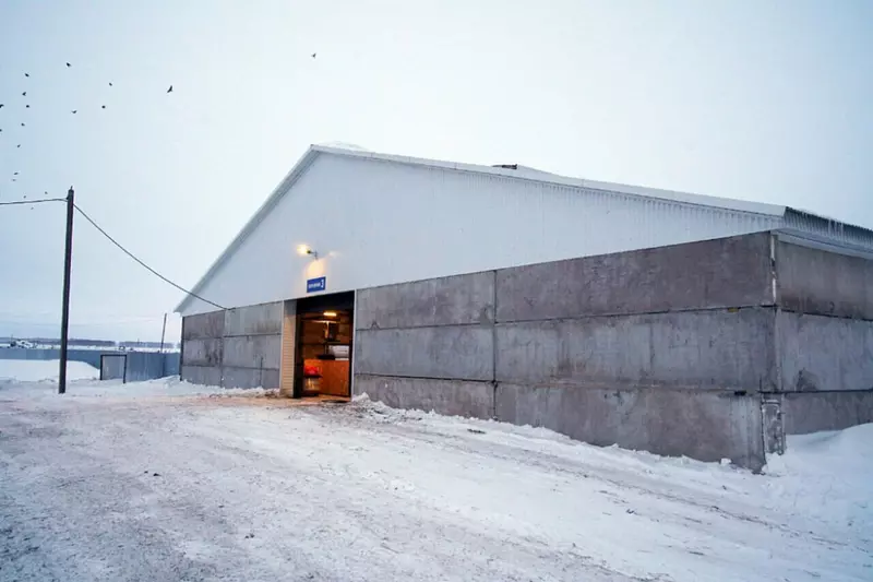 В Башкирии после реконструкции запущена молочная ферма на 1000 голов