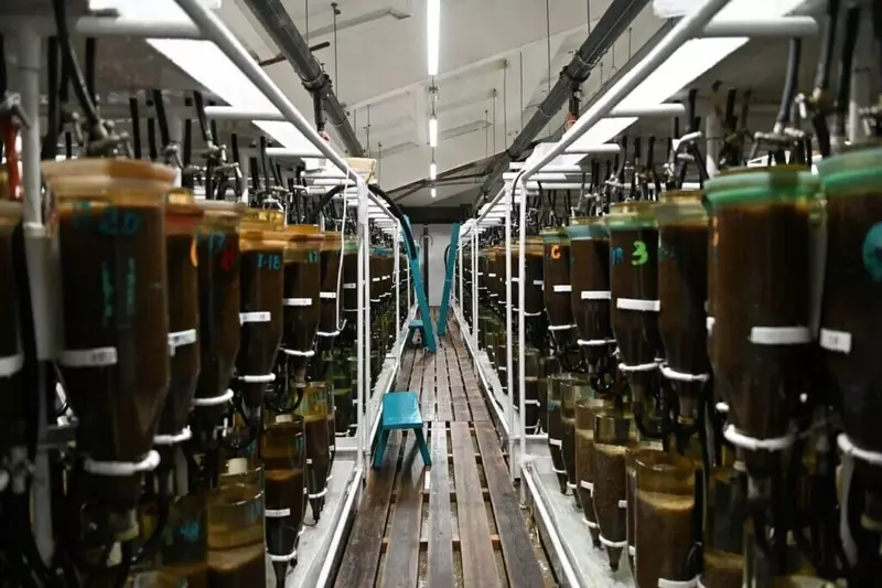 Большереченский омулевый завод готов к новому рыбоводному сезону