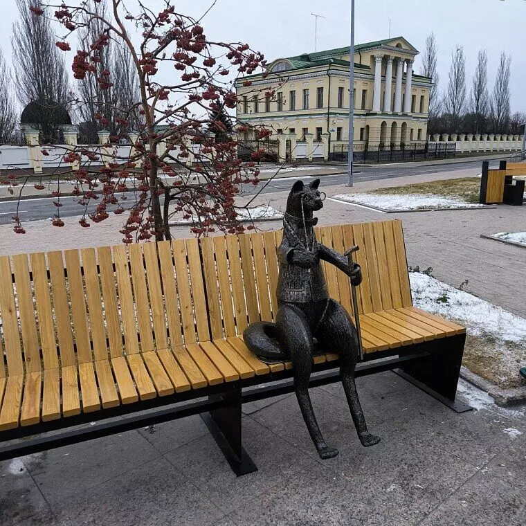 Картинка 42 для статьи «В Тюмени благоустроены новые общественные пространства часть 2»