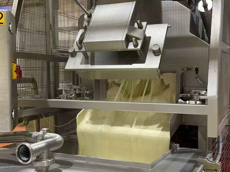 В Ярославской области открылся цех по производству сыра для пиццерий