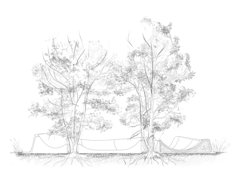 Картинка #34 для публикации «Новый экспериментальный сквер в Предкавказье»