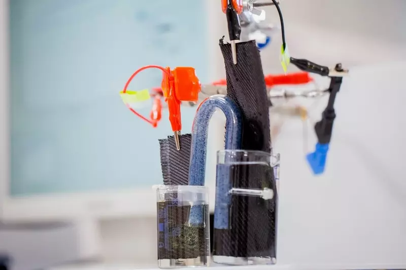 В Курчатовском институте разработали безмембранный микробный фототопливный элемент