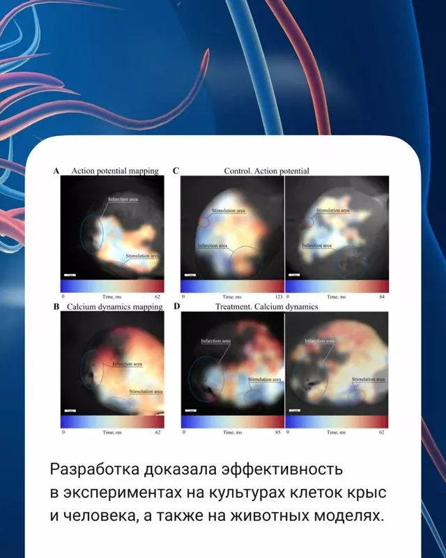 Изображение #2 для поста «: »