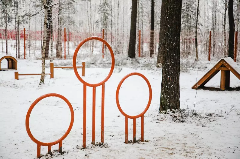 Иллюстрация №44 для «Четыре новых парка благоустроено в Ноябрьске»