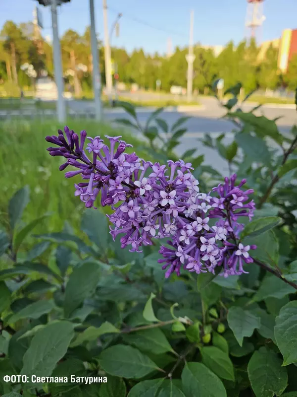 48 для «Ямальский меридиан 14»