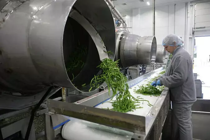 В Тульской области запущен комплекс по выращиванию и переработке гороха и фасоли