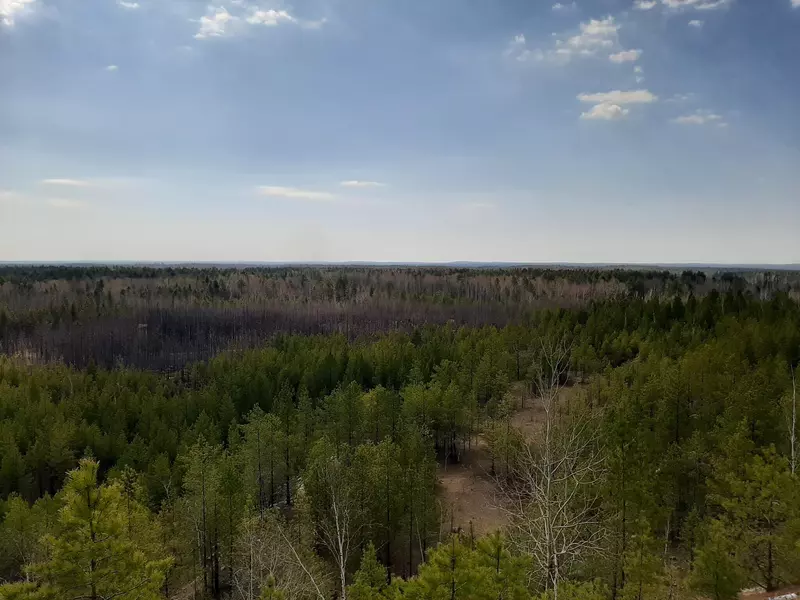 Режевской минералогический заказник (фото автора)