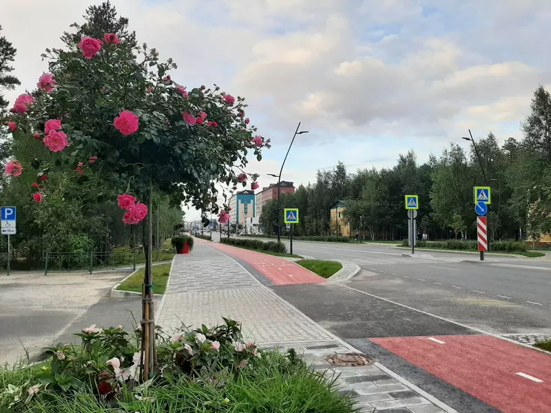 Улица Ленина (фото автора)