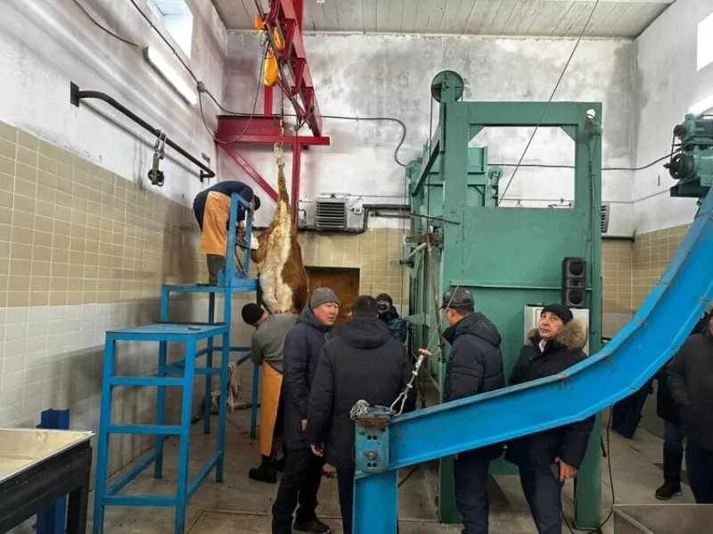 Предприятие по первичной переработке мяса скота запустили в селе Верхний Кункур Забайкалья