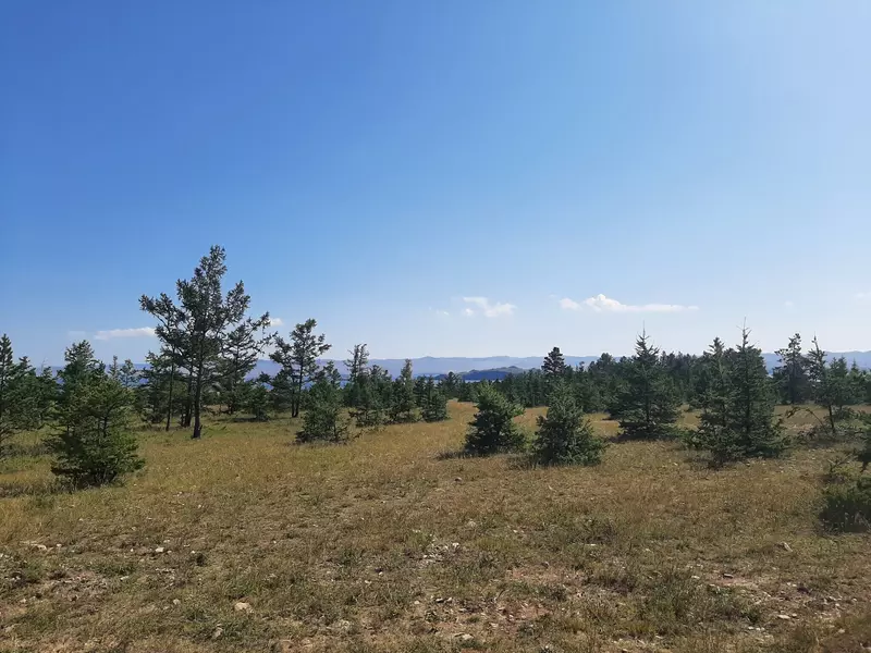 Изображение №59 для «День Байкала»