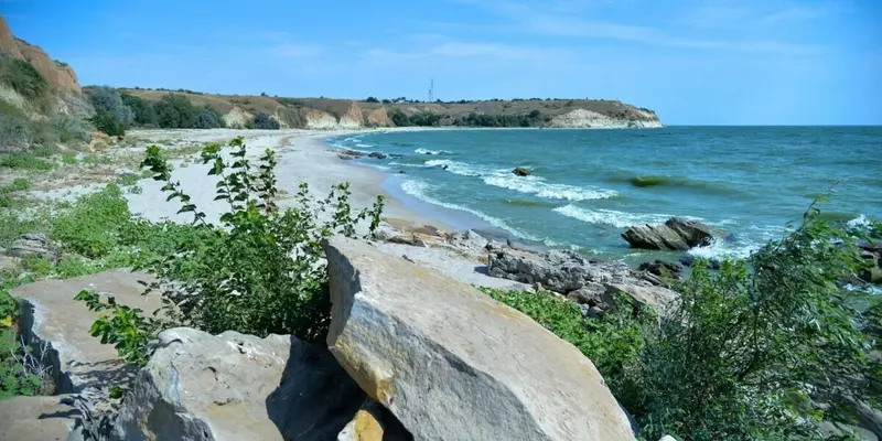 В Цимлянское водохранилище выпущено почти 1 миллион мальков сазана и белого амура