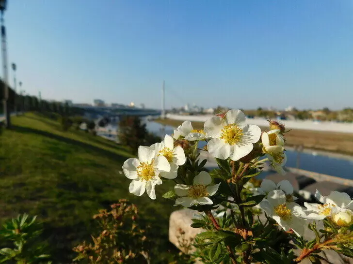 Набережная Туры (фото автора)