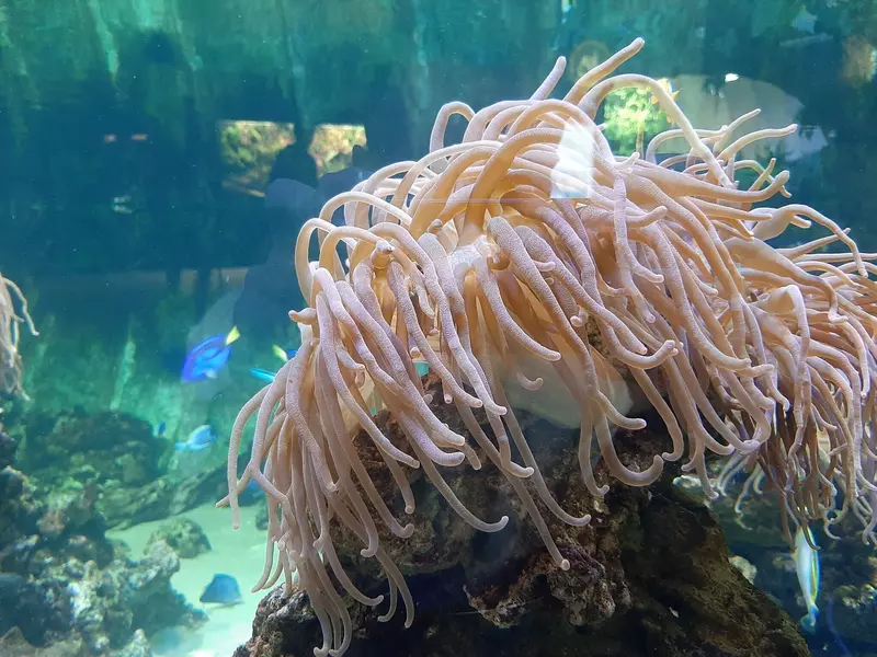 Океанариум "Акватика" (фото автора)