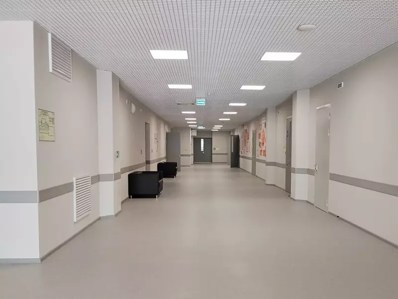 Иллюстрация №3 для статьи «»