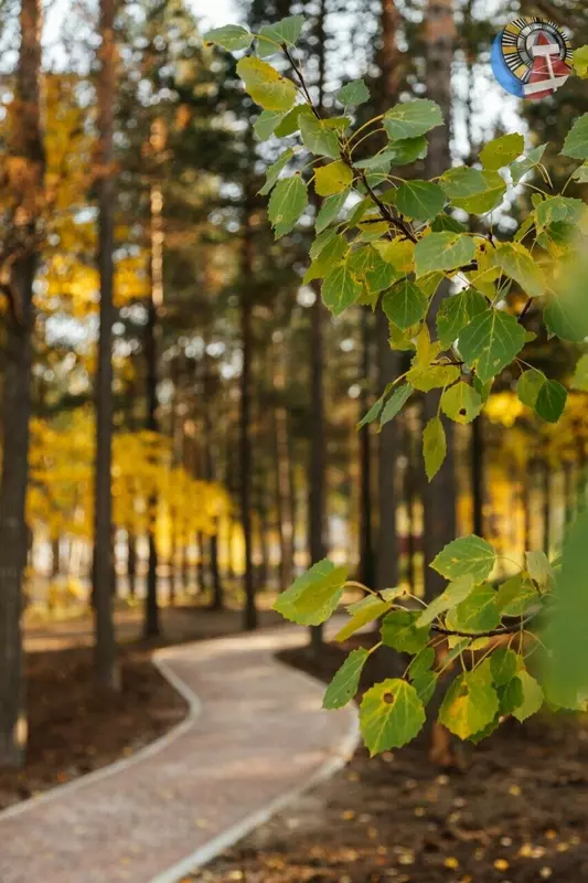 Фото №33 для «Четыре новых парка благоустроено в Ноябрьске»