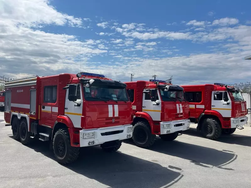 Иллюстрация №3 для «Челябинская область: Российская компания в 2025 г»