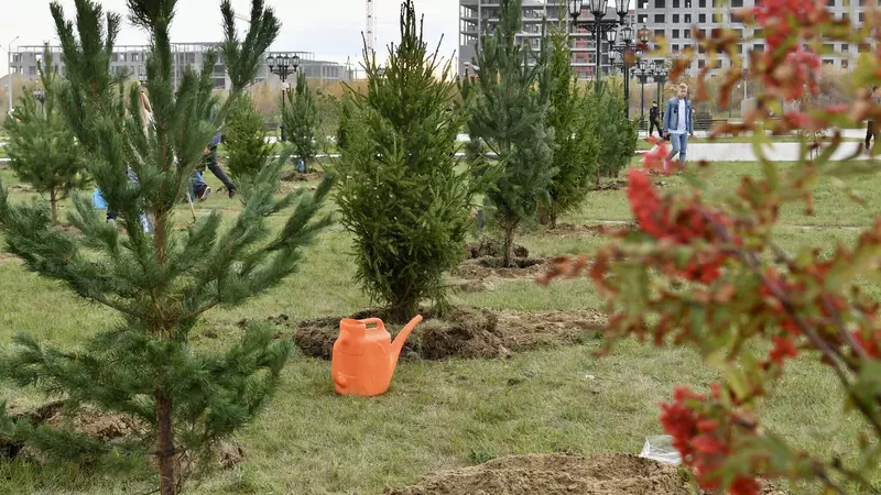 Фото #28 для статьи «Ямальский меридиан 16»