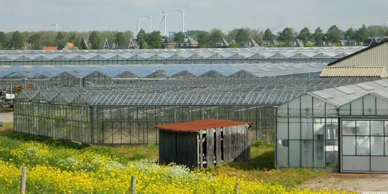 Производитель тепличных субстратов из Ростовской области начал экспорт в Иран