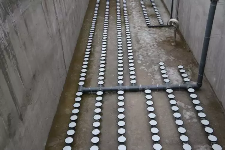 Картинка №21 для статьи «В регионах Сибири реализованы крупные экологические проекты»