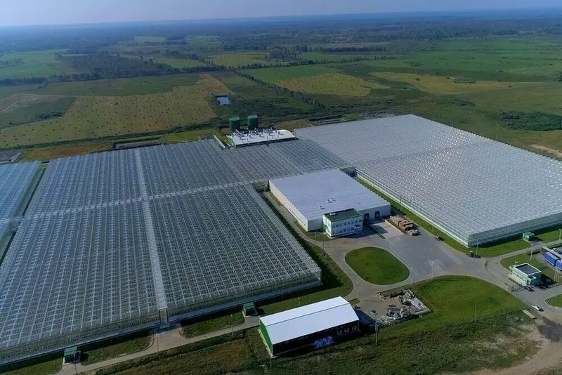 Картинка #55 для новости «Тюменское импортозамещение часть 7»