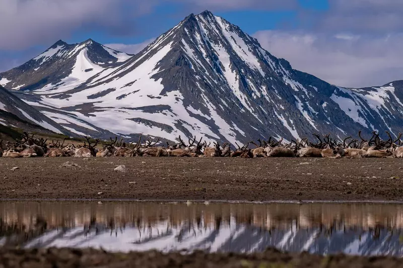 №98 для поста «Ямальский меридиан 14»