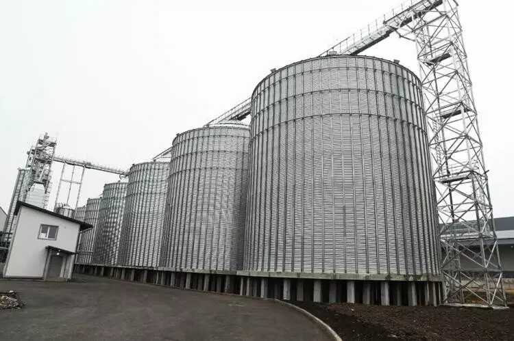 Изображение №5 для статьи «В Тюменской области открылся завод по глубокой переработке гороха»