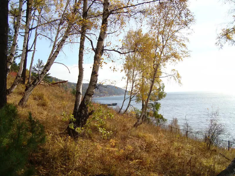 Иллюстрация №3 для поста «Экология: День Байкала»