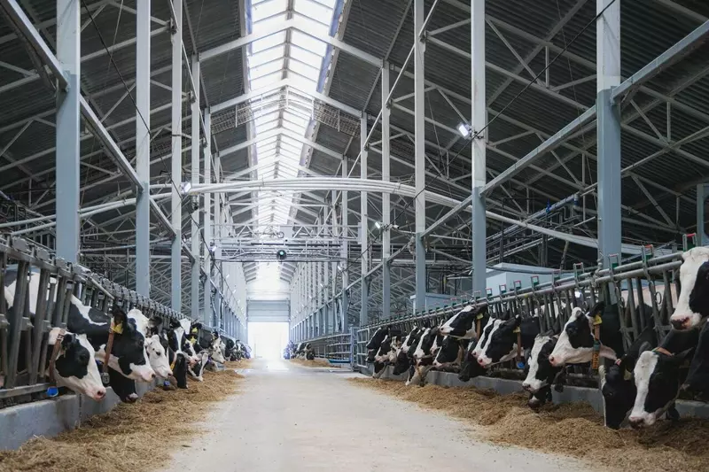 Новые предприятия АПК и пищевой промышленности в мае июне 2025 года