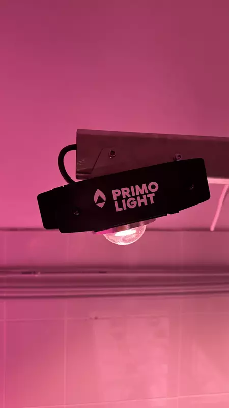 Картинка №6 для поста «сельское хозяйство: Запуск экспериментальной лаборатории для выращивания семенного картофеля»