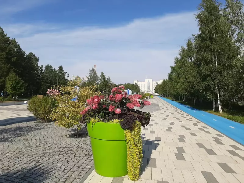 Центральная аллея (фото автора)