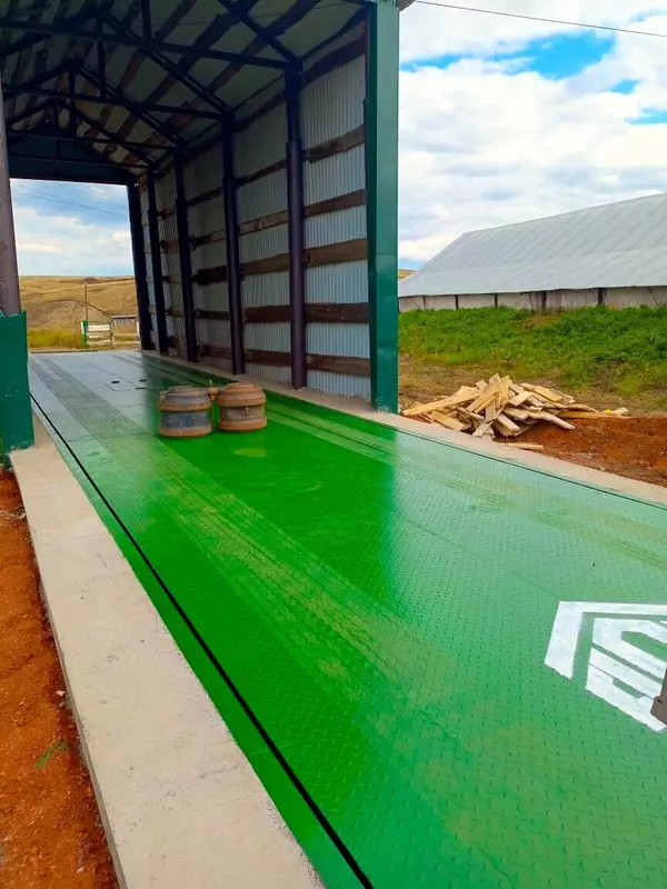 Иллюстрация 1 для статьи «: Автомобильные весы ключевой инструмент для контроля веса грузов и снижения затрат на перевозку»