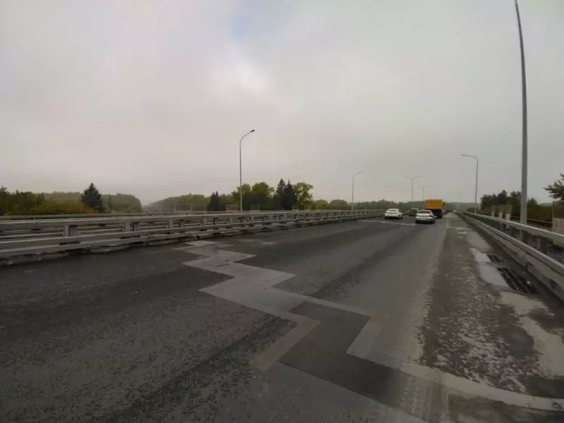 Изображение 38 для «Тюменское импортозамещение часть 9»