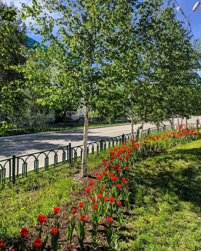 Иллюстрация 45 для новости «Как меняется Ямал Ноябрьск часть 3»