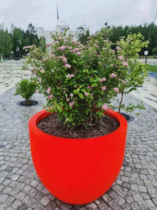 №45 для поста «Ямальский меридиан 14»