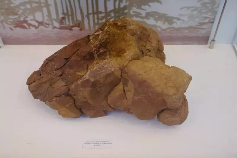 Изображение 4 для поста «окаменелости: В Кузбассе обнаружили уникальный янтарь возрастом более 100 млн лет»