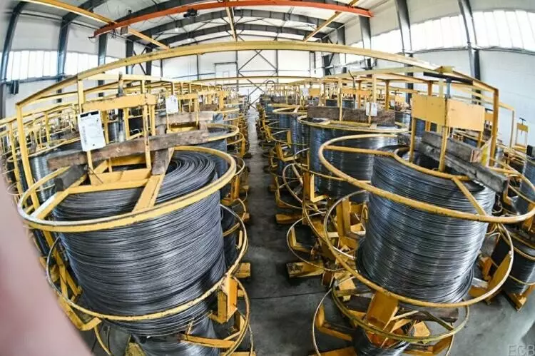 Иллюстрация 33 для поста «Тюменское импортозамещение часть 9»