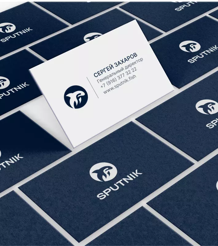 Фото №4 для поста «дизайн: Фирменный стиль для»